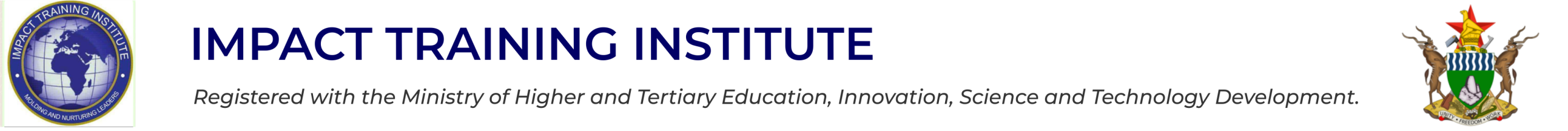 Impact Training Institute